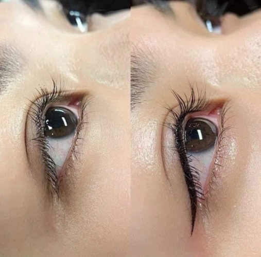 permanent makeup vipper